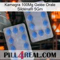 Kamagra 100Mg Gelée Orale Sildénafil 5Gm 20